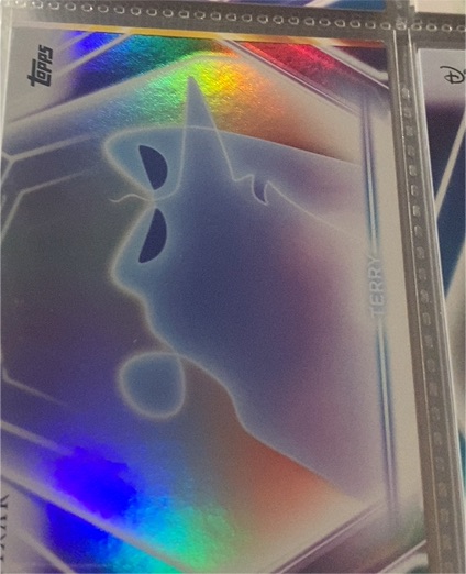 2026 Topps Disney Neon #47 Terry — front