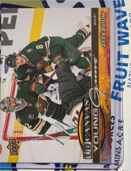 2025-26 Upper Deck Series 2 #C-211 Zeev Buium UD Canvas Young Guns — front