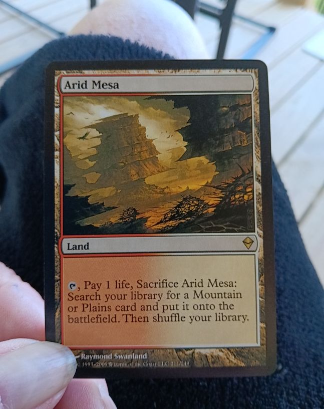 2009 Magic: The Gathering #211 Arid Mesa — front