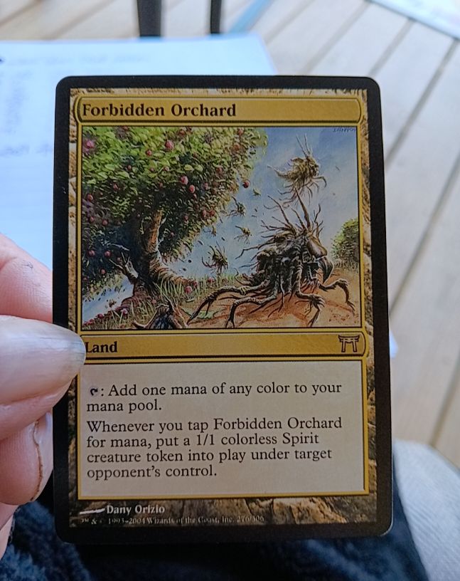 2004 Magic: The Gathering #276 Forbidden Orchard — front