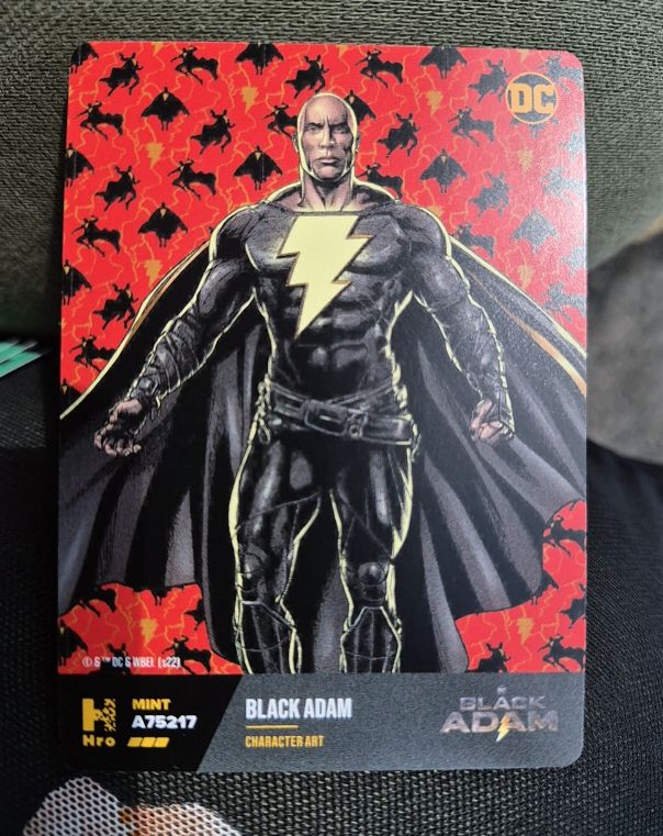 2022 HRO Chapter 2 Black Adam Character Art #A75217 — front