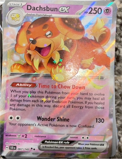 2024 Pokémon SV07: Stellar Crown #067 Dachsbun ex — front