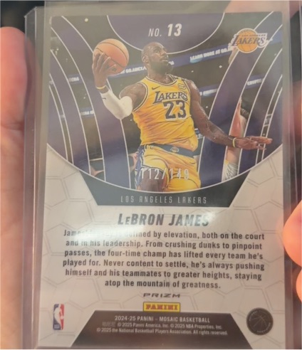 2024-25 Panini Mosaic #13 LeBron James — front