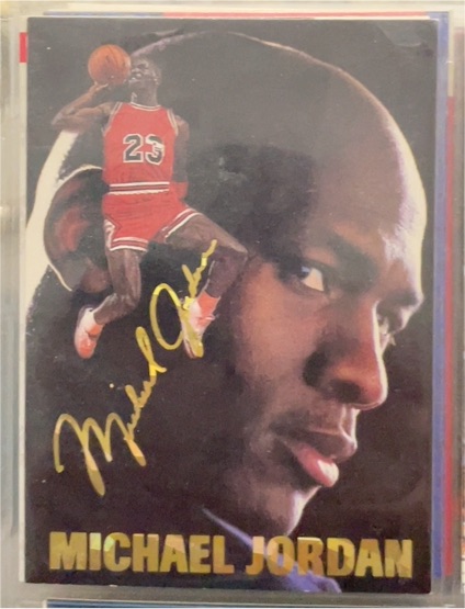 1993-94 Arena Sports #23 Michael Jordan — front