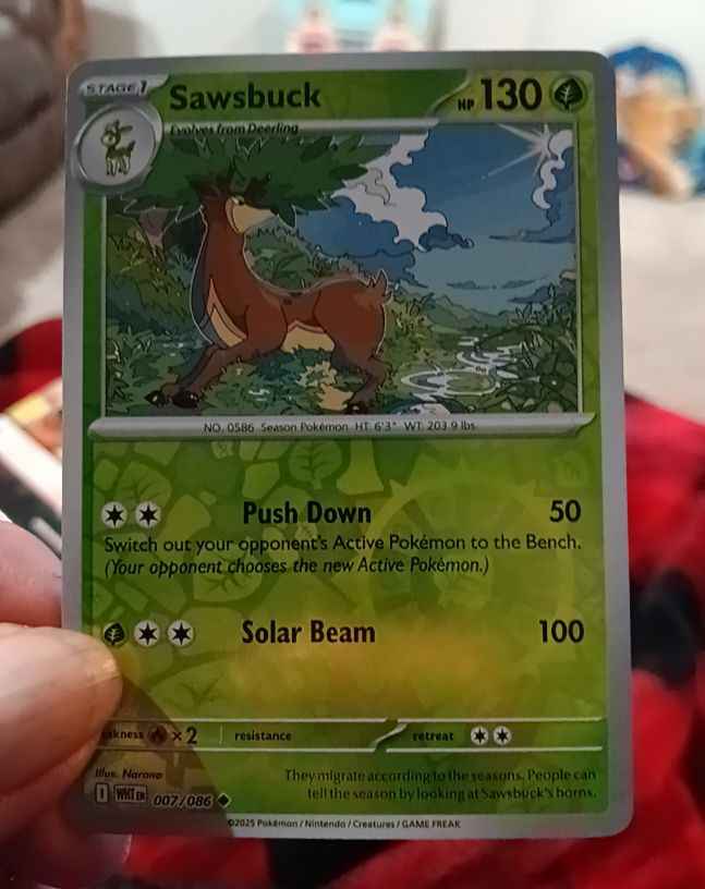 2025 Pokémon 007 Sawsbuck — front