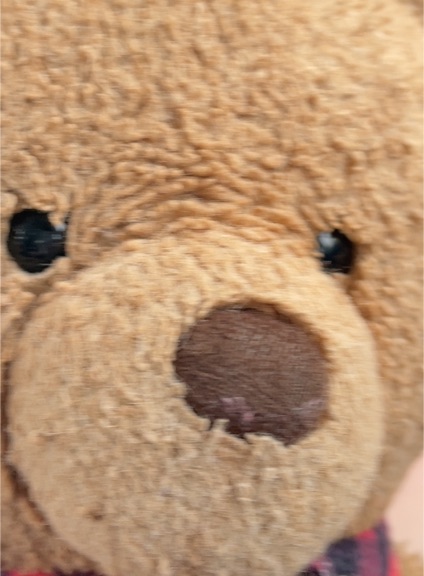 Jellycat Bartholomew Bear Plush Teddy — front