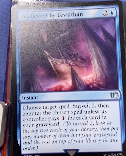Swallowed by Leviathan #79 — front