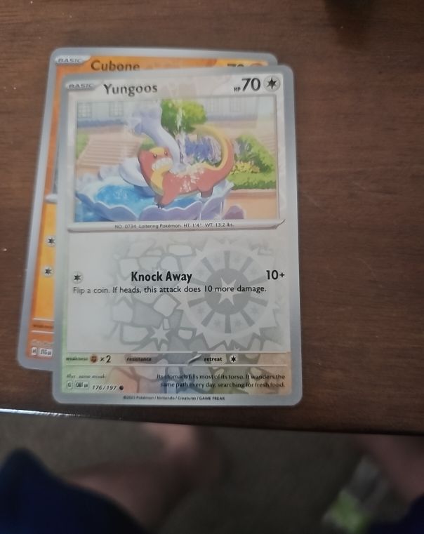 2023 Pokémon SV03: Obsidian Flames #176 Yungoos — front