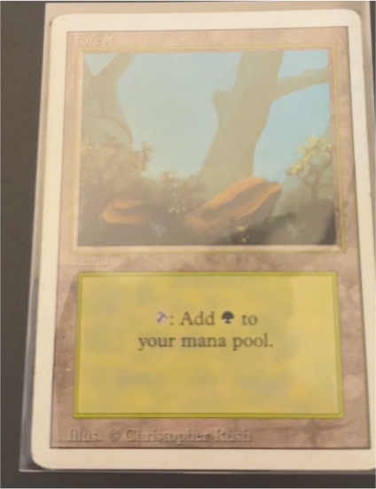1994 Magic: The Gathering Forest Revised Edition #304 — front