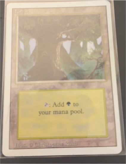 1994 Magic: The Gathering #306 Forest Revised Edition — front