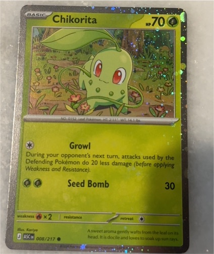 2023 Pokémon Ascended Heroes #008 Chikorita — front