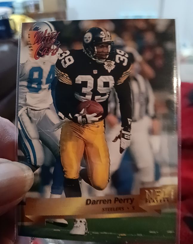 1993 Wild Card #184 Darren Perry — front