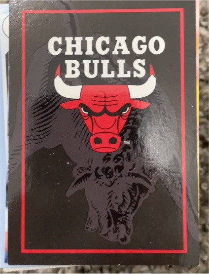 1994-95 SkyBox NBA Hoops #394 Chicago Bulls Team Logo — front