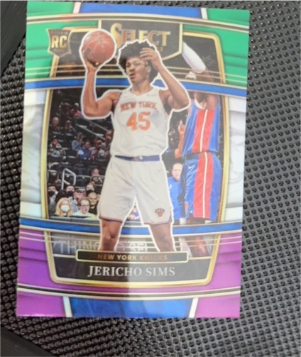 2021-22 Panini Select #87 Jericho Sims — front