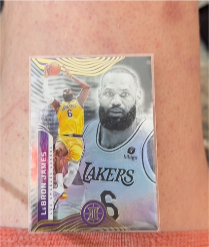 2021-22 Panini Illusions #96 LeBron James — front