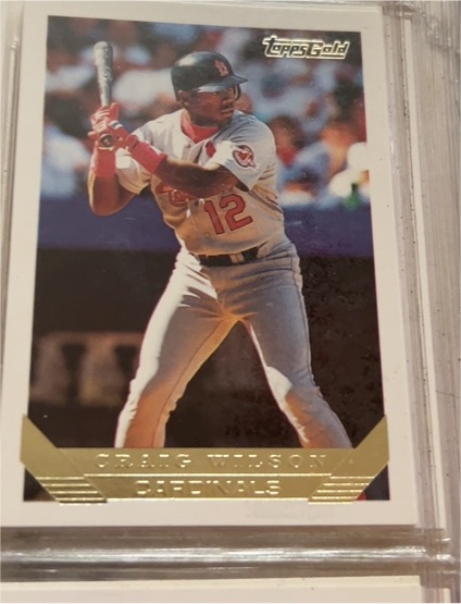 1993 Topps Gold #366 Craig Wilson — front