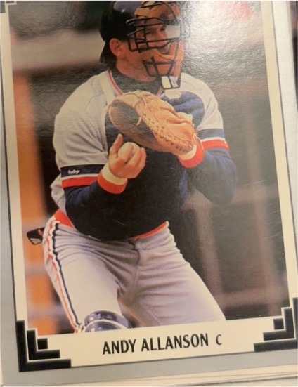 1991 Leaf #455 Andy Allanson — front