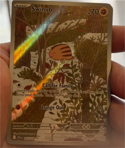 2023 Pokémon TCG Journey Together #165 Swinub — front