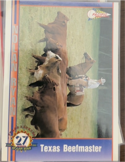 1991 Pacific Nolan Ryan Texas Express #104 Texas Beefmaster — front