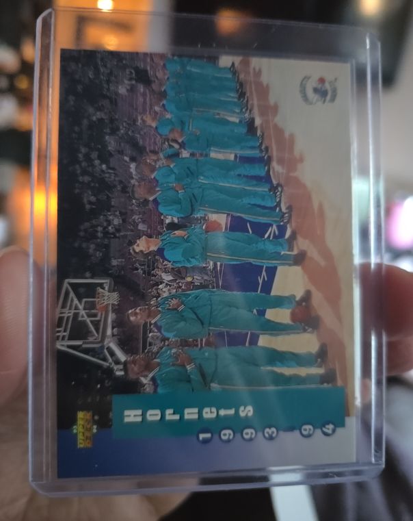 1993-94 Upper Deck #212 Charlotte Hornets — front