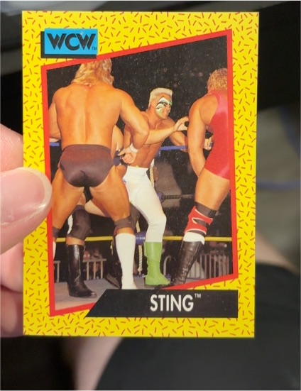 1991 Impel WCW #1 Sting — front