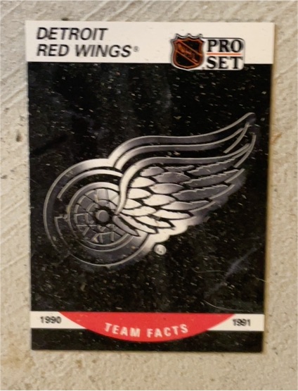 1990-91 Pro Set #570 Detroit Red Wings Team Facts — front