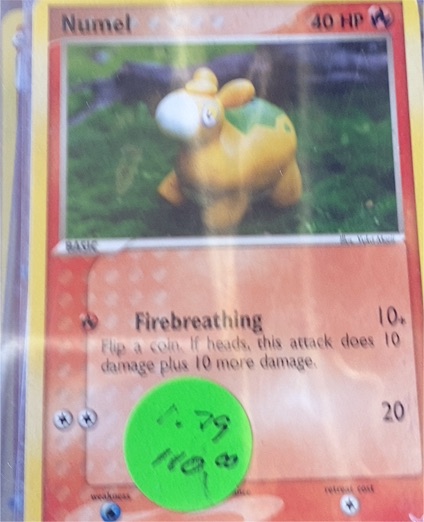 2004 Pokemon EX Trainer Kit #5 Numel — front
