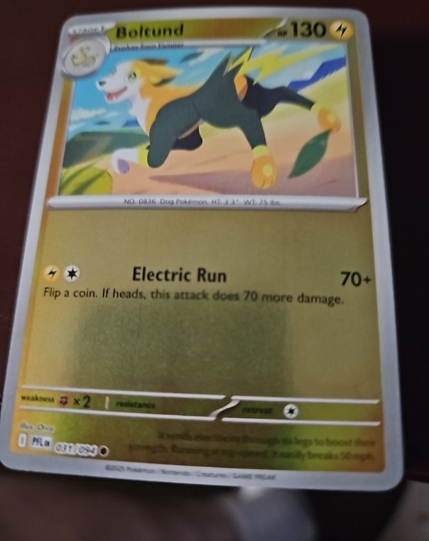 2025 Pokémon Phantasmal Flames #031 Boltund — front