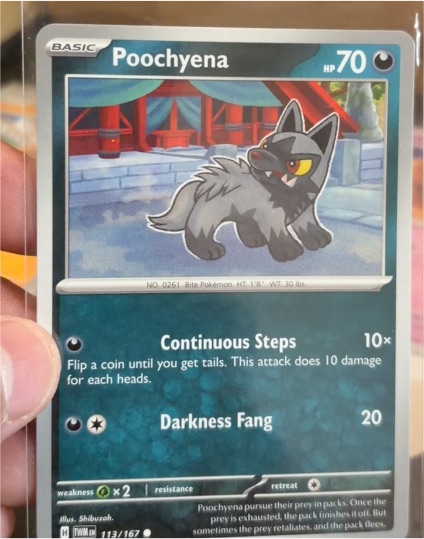 2023 Pokémon SV06: Twilight Masquerade #113 Poochyena — front