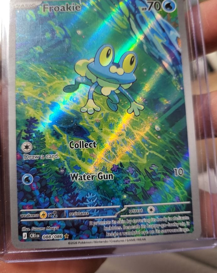 froakie pokemon card Froakie Cards | Dex