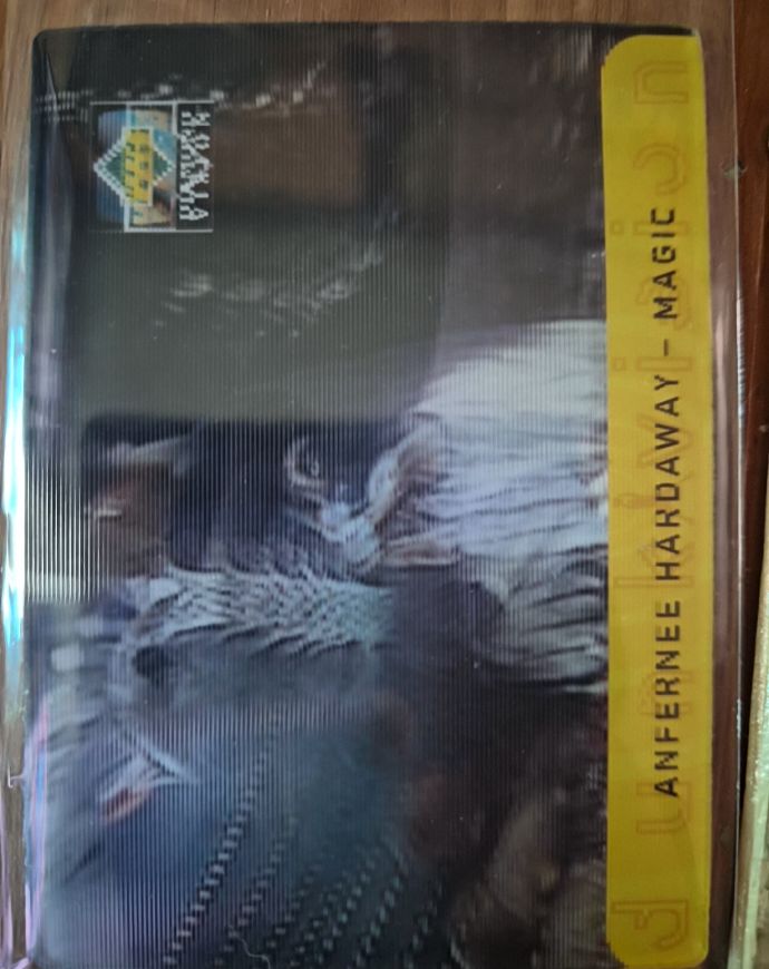 1997-98 Upper Deck Diamond Vision #19 Anfernee Hardaway — front