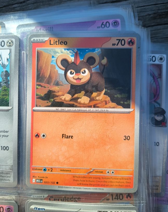 2025 Pokemon #023 Litleo — front