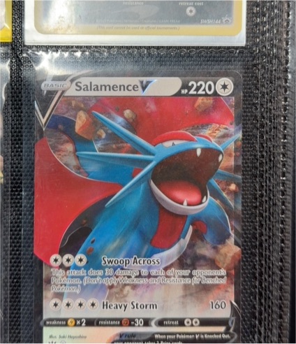 2020 Pokémon Darkness Ablaze #143 Salamence V — front