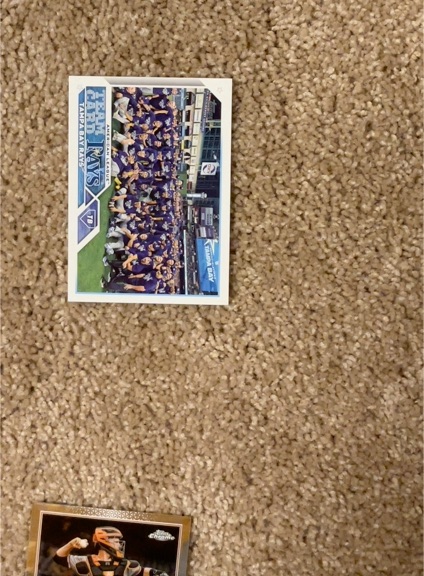 2023 Topps Series 2 #623 Tampa Bay Rays Team — front