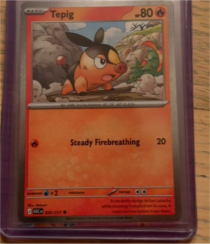 2016 Pokémon #029 Tepig — front