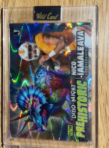 2023 Wild Card Prehistoric #17 Nico Iamaleava — front