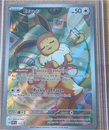 2025 Pokémon SV Ep 173 Eevee — front