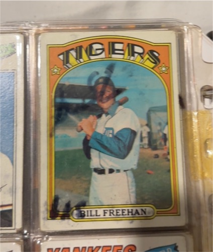 1970 Topps #300 Bill Freehan — front