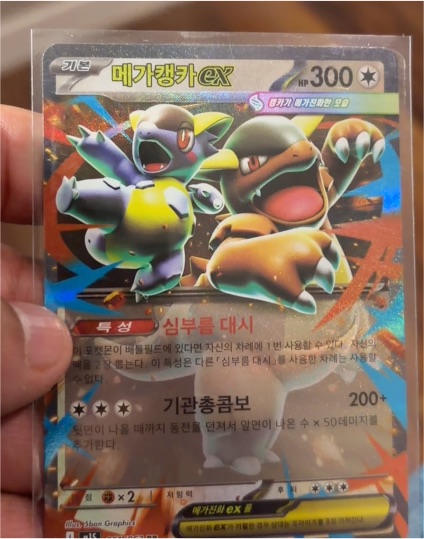 Mega Camerupt ex — front