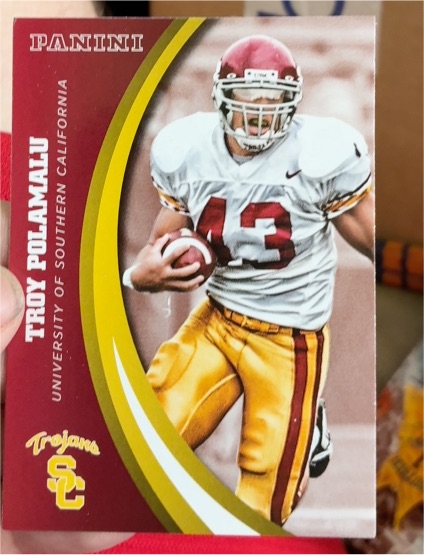 Panini Troy Polamalu University of Southern California Trojans Football Card — front