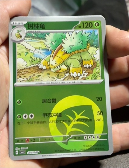 2023 Pokémon Holo CM4C #080 Torterra — front
