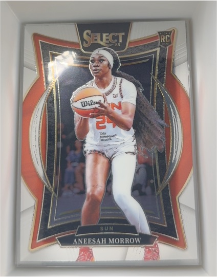 2022 Panini Select #25 Aneesah Morrow — front
