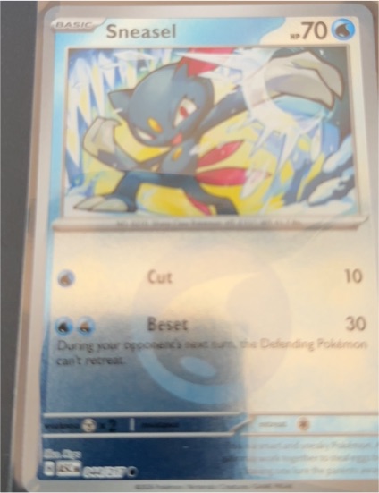 2024 Pokemon Scarlet & Violet Shrouded Fable #013 Sneasel — front