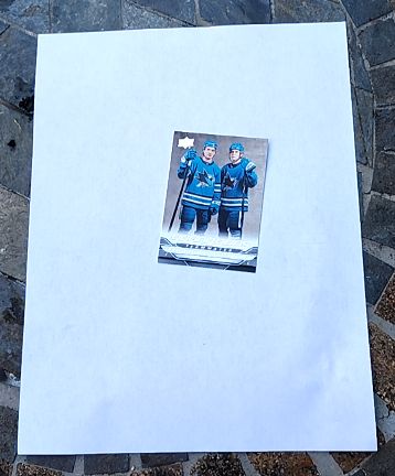2024-25 Upper Deck Series 2 Young Guns Teammates #499 Macklin Celebrini Smith Sharks — front