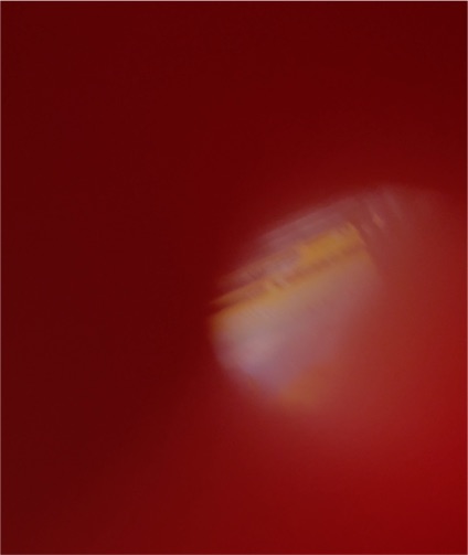 The Faded Orbit by Saffronkeira & Siavash Amini (2022) — front