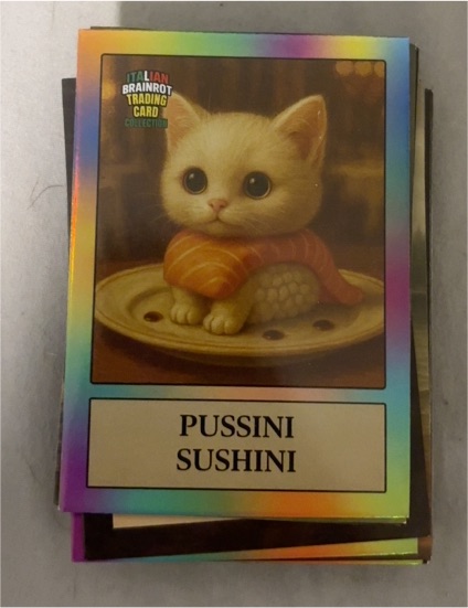 2025 Italian Brainrot Pussini Sushini — front