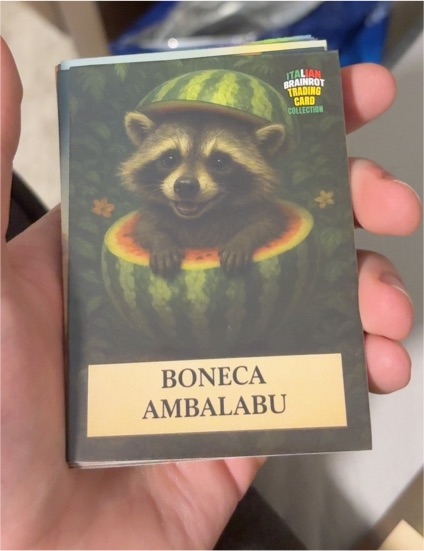 2025 Italian Brainrot Boneca Ambalabu — front