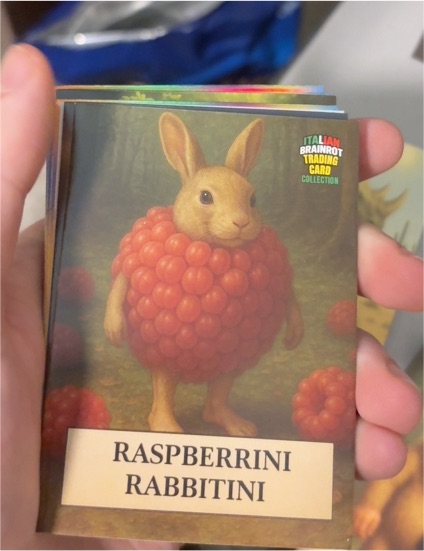 Italian Brainrot Raspberrini Rabbitini — front