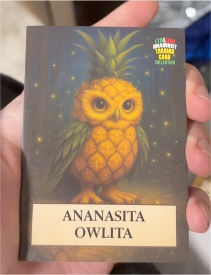 2025 Italian Brainrot Ananasita Owlita — front