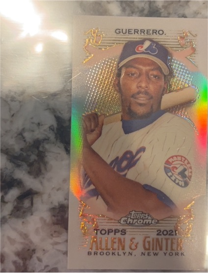 2021 Topps Allen & Ginter Chrome #69 Vladimir Guerrero — front